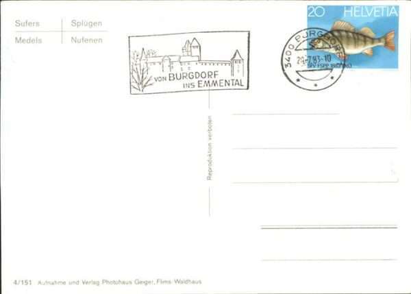 Rheinwaldhorn Rheinwald Wappen – Bild 2