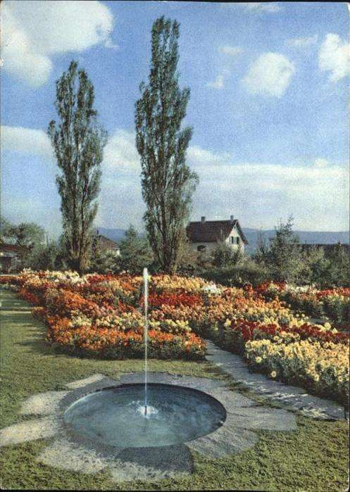 Zuerich Unter Engstriugen Gartenschau