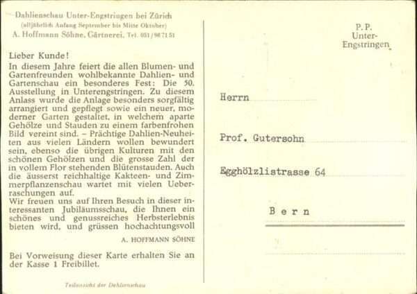 Zuerich Unter Engstriugen Gartenschau – Bild 2