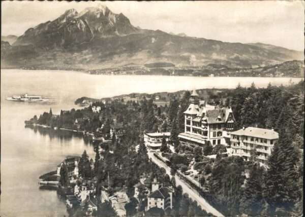 Weggis Vierwaldstaettersee Hotel Albana