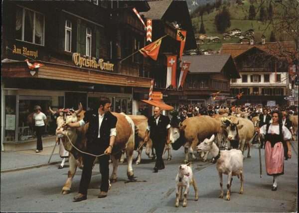 Lenk Simmental Alpaufzug Tracht, Kühe, Ziegen