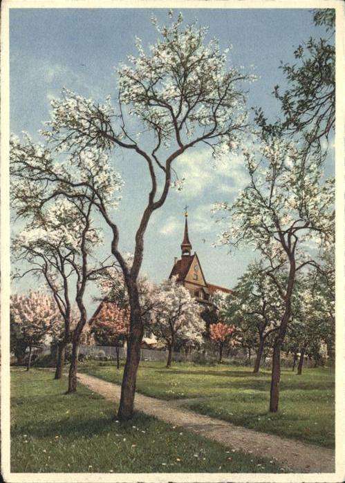 St Chrischona Frühling