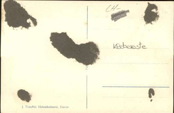 Davos GR Nederlandsch Sanatorium – Bild 2