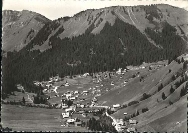 Morgins