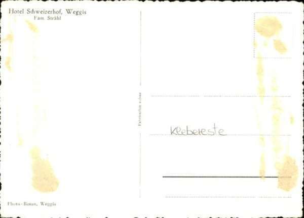 Weggis Vierwaldstaettersee Hotel Schweizerhof – Bild 2