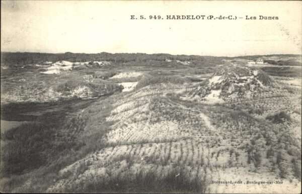 Neufchatel-Hardelot Dunes