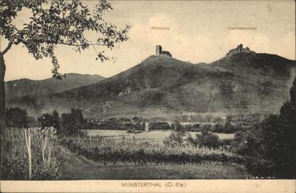 Munster Haut Rhin Elsass