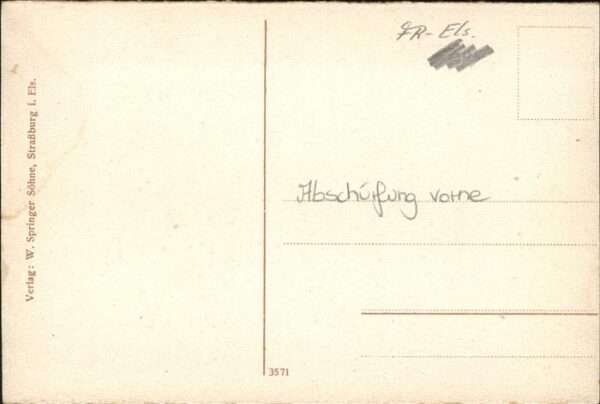 Rufach Münster – Bild 2