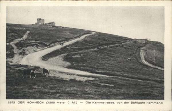 Hohneck Kammstrasse