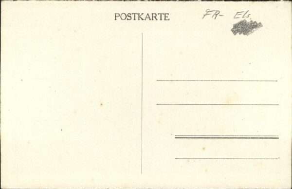Martinswasen Kühe – Bild 2