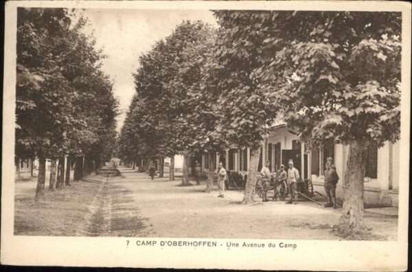 Oberhofen Elsass Avenue du Camp