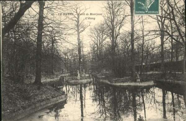 Le Havre Foret Montjeon