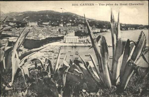 Cannes Alpes-Maritimes Mont Chevalier