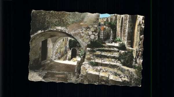 Eze 06 Nid d_Aigle