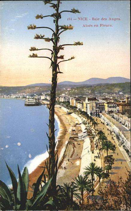 Nice Alpes Maritimes Baie des Anges