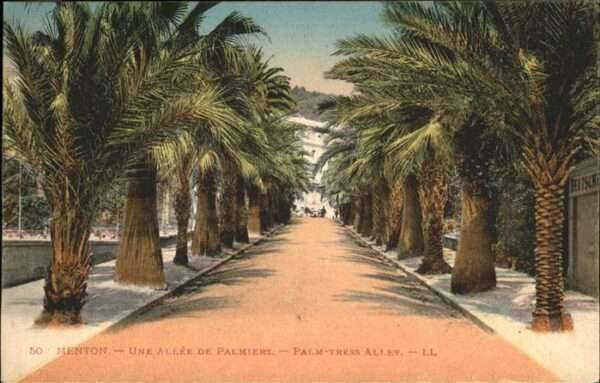 Menton Alpes Maritimes Allee Palmiers