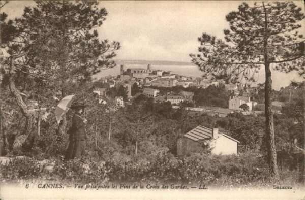 Cannes Alpes-Maritimes