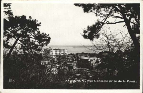 Arcachon 33 Vue generale