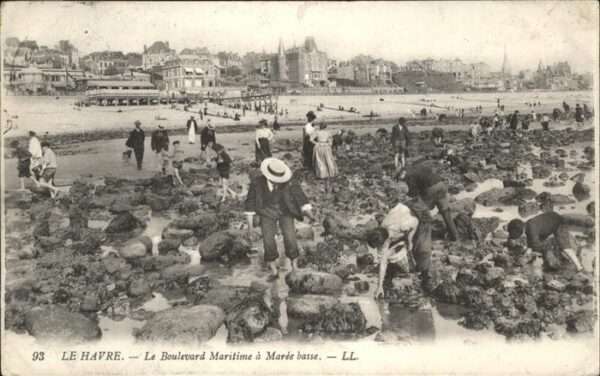 Le Havre Boulevard Maritime Maree basse