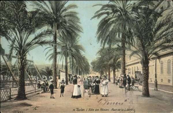Toulon Var Allee Palmiers Place Liberte