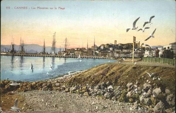 Cannes Alpes-Maritimes Mouettes Plage