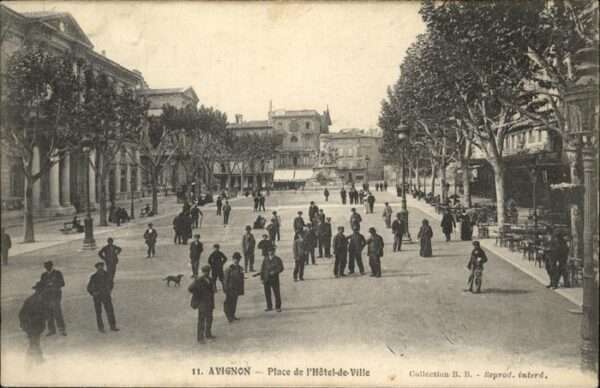 Avignon Vaucluse Place Hotel de Ville