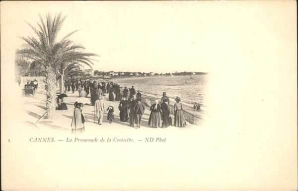 Cannes Alpes-Maritimes Promenade de la Croisette