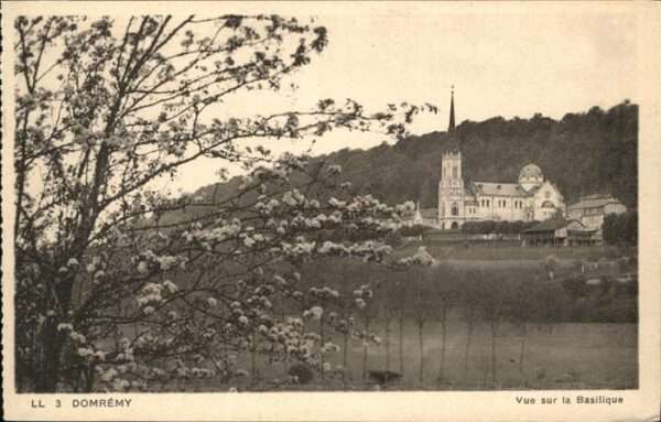 Domremy-la-Pucelle Vosges Vue sur la Basilique