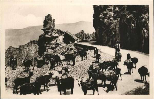 Piana Calanches