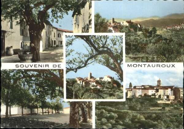 Montauroux Vues partielles