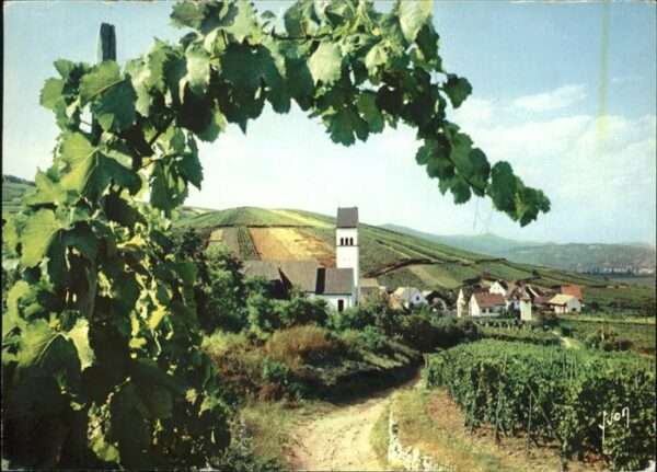Katzenthal Haut-Rhin Village du Vignoble Alsacien