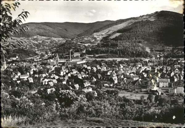 Muenster Haut Rhin Elsass Vue generale