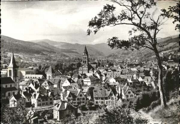Muenster Haut Rhin Elsass Vue generale