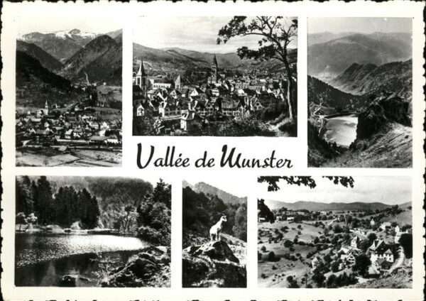 Muenster Haut Rhin Elsass Vallee de Munster