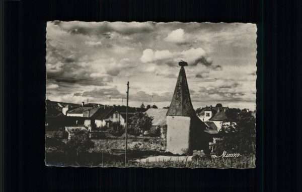 Ribeauville Tour aux Cigognes