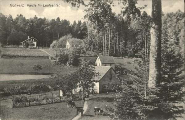Le Hohwald Louisental