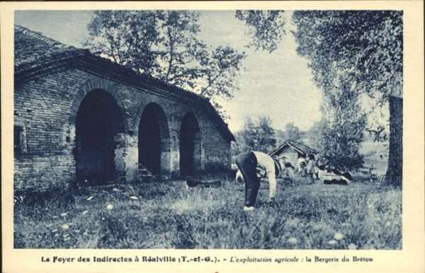 Realville