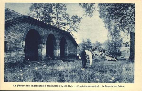 Realville