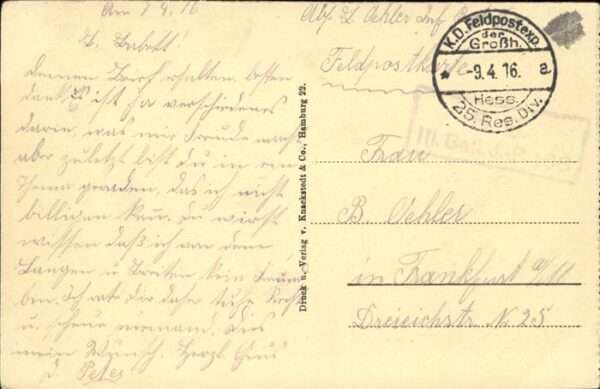 Noyon Rathaus – Bild 2
