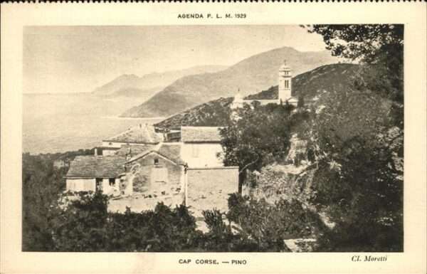 Pino Cap Corse