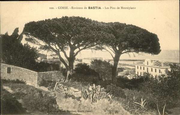 Bastia Corse