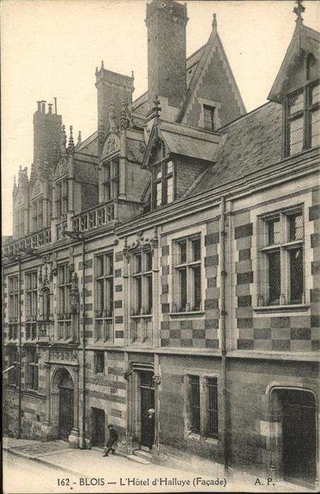 Blois 41 Hotel Halluye