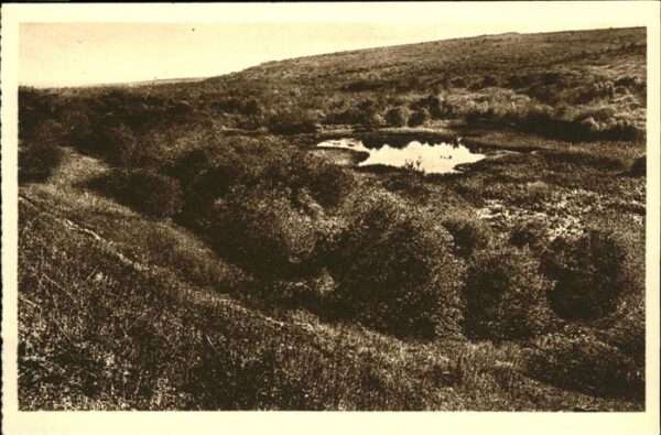 Fort de Vaux Etang de Vaux
