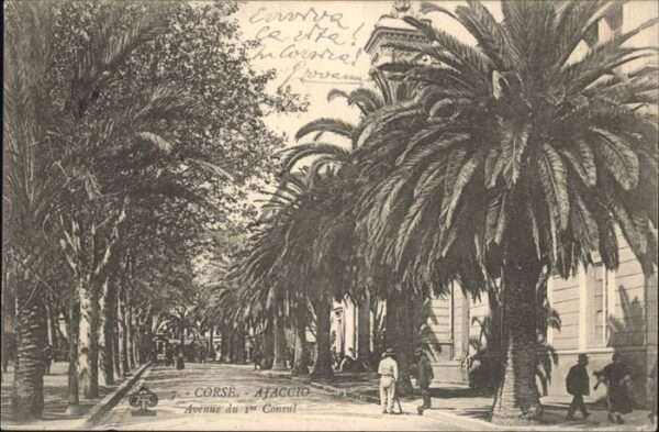 Ajaccio Avenue du 1er Consul