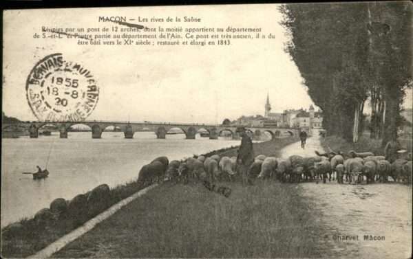 Macon 71 Brücke Schafe