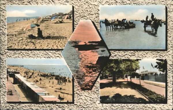 Chatelaillon-Plage Pferd Strand
