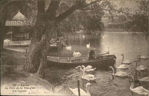 Lyon France Parc Tete Or Schwan Boot