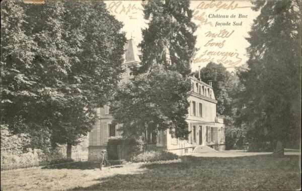 Buc Belfort Chateau