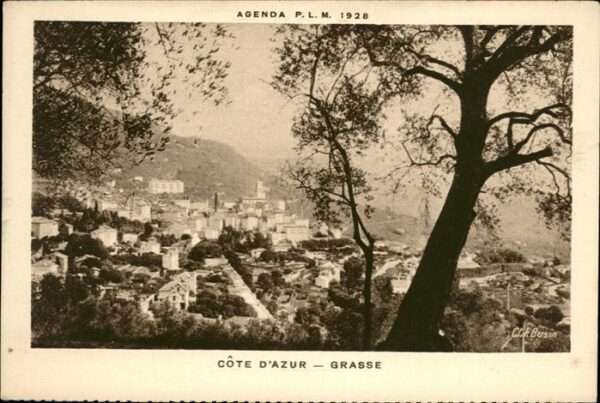 Grasse