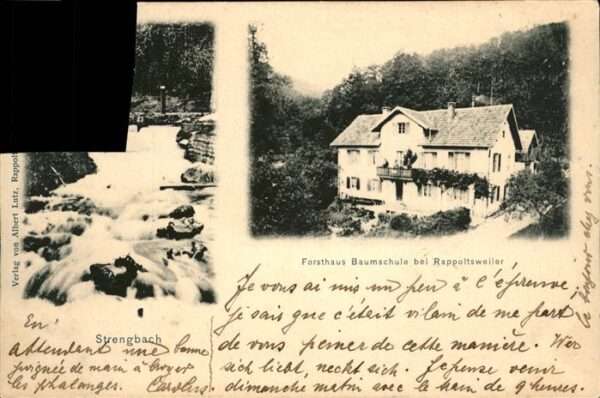 Rappoltsweiler Haut Rhin Elsass Forsthaus Baumschule Strengbach